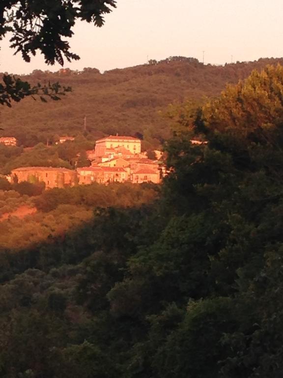 Al Casale Dei Nonni Bed and Breakfast Laureana Cilento Eksteriør billede