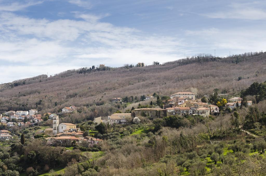 Al Casale Dei Nonni Bed and Breakfast Laureana Cilento Eksteriør billede